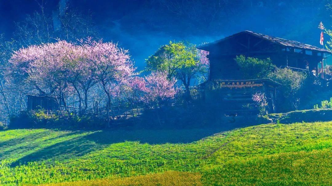 神奇三国