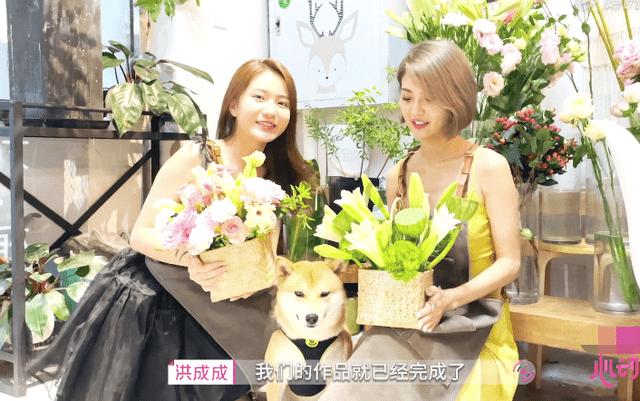 四季的花朵