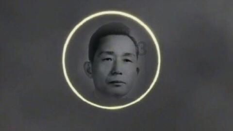 小姐姐去银行取钱，还带了两只狗保镖，霸气侧漏啊！