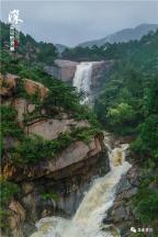 缤纷水果茶